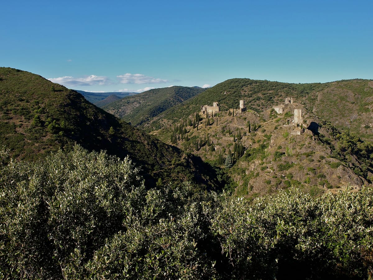 Les quatre châteaux de Lastours sur leur crête, au-dessus des gorges boisées
